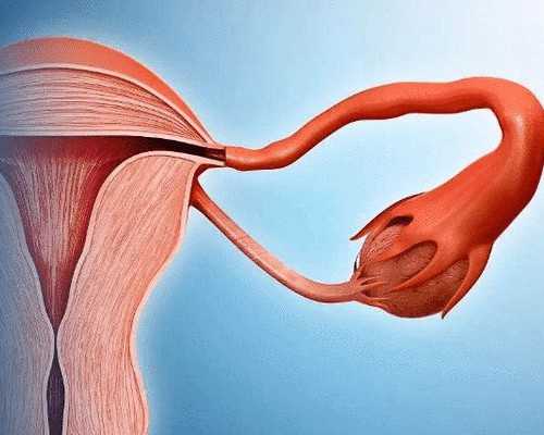 香港医院验血中介_国内香港无创dna,给我们的主张