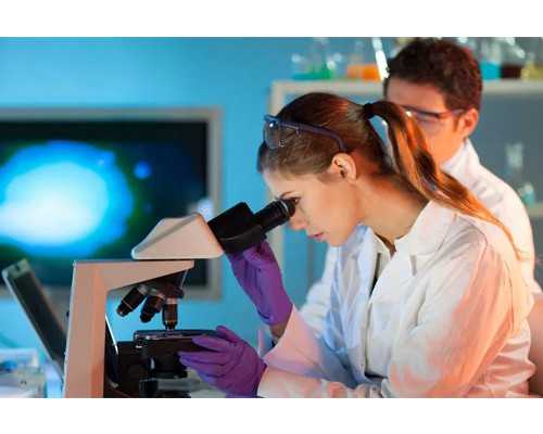 dna和香港验血价格_世上无难事只怕有心人是谁说的?谁知道“世上无难事,只