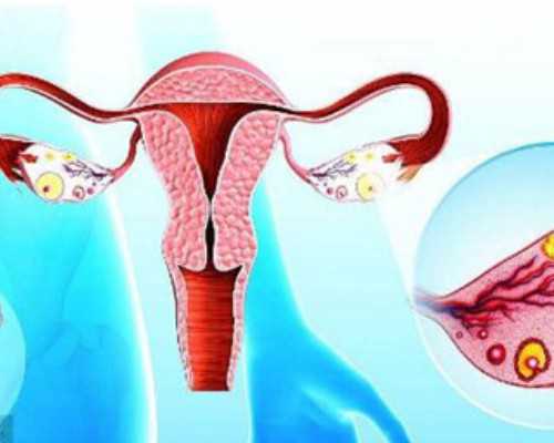 香港验血费用大约是多少_精确的性别判定单位技术先进