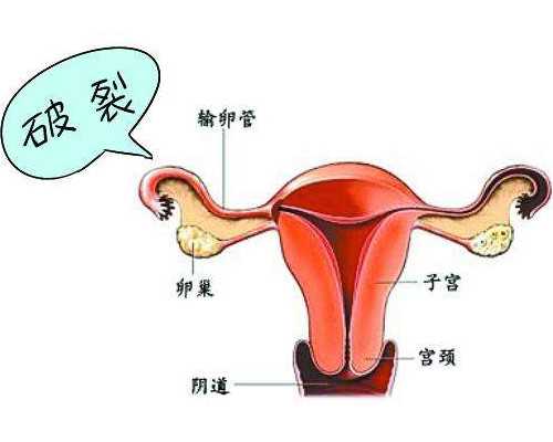 香港验血怀孕六周和七周的区别_六周多香港验血_怎么预约去香港验血!