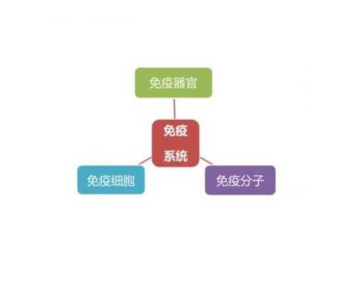 香港验血是不天数越大就越准_香港验血测男女y染色体报告_验血男孩竟然翻盘最