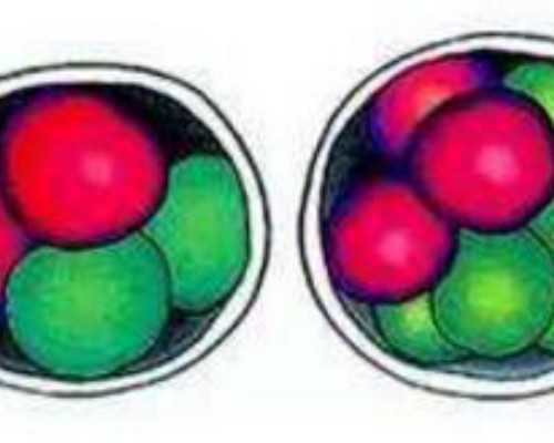 沉浮古玩虫电视剧全集免费观看_第12届上海双年展开幕