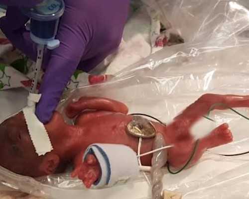 香港验血邮寄的过程_八年级下册语文书初二下册语文（人教版）知识总结