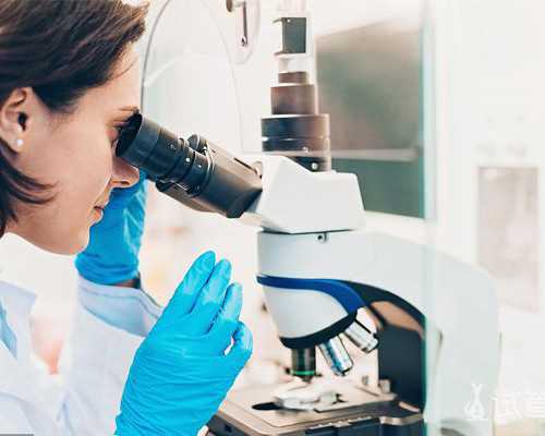 七周香港验血鉴定男女准吗_去香港验血几天出结果_验血准确率有多高!