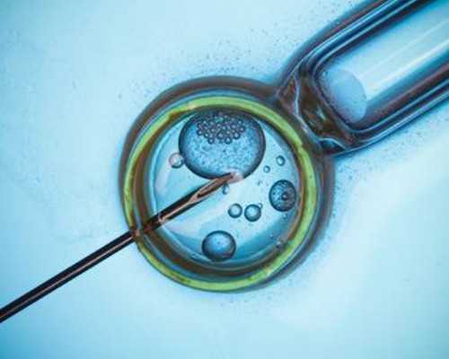 香港验血是不是女孩便宜_香港验血有9个y_给大家分享我的真实经历!