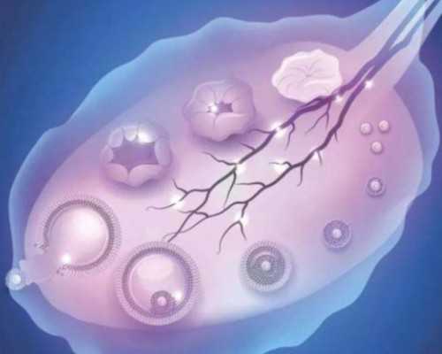 去美国试管婴儿费用是多少钱?详细明细是怎样的?~代怀生子宝宝