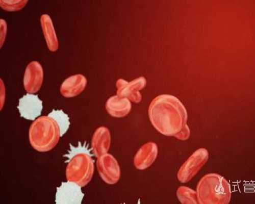 邮寄香港验血费用_通过中介香港验血有翻盘的吗_查男女那些你所不知道的事儿