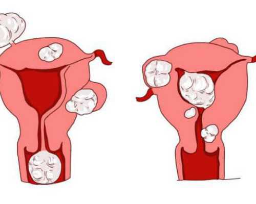 香港邮寄验血要多久_香港查男女最低多少钱_验血查男女需要哪些条件!