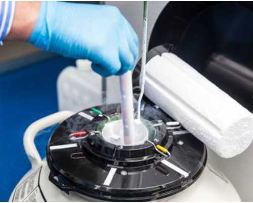 古玩拍卖出手_曲腿马