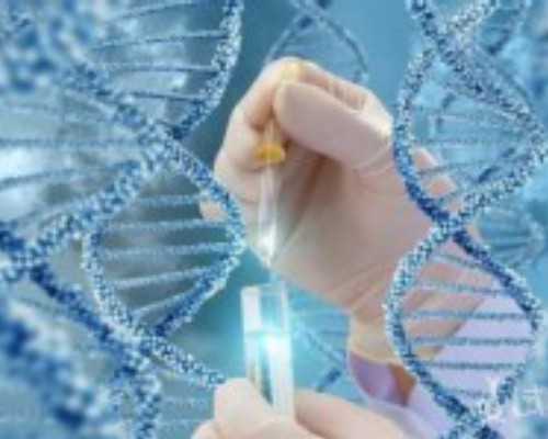 我附近的古玩市场_日常·礼赞--张永平作品展