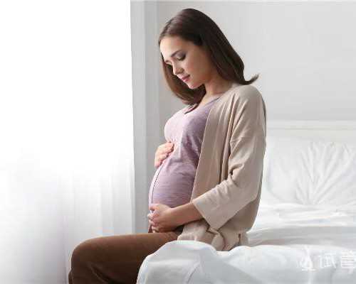 香港验血官网可查_关于中国节日的作文？关于节日的初中作文500字以上要写自