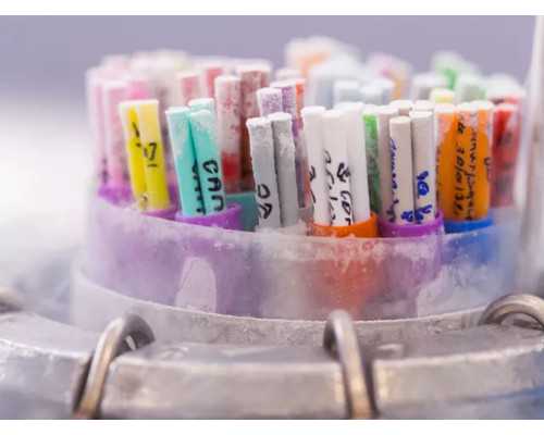 香港卓信医疗服务中心验血地址_香港验血性别鉴定如何选择靠谱的中介