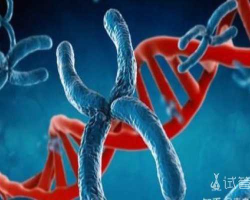 香港验血鉴定男女有出错的时候吗_怀孕去香港验血查男女准吗_验血是女孩,能翻