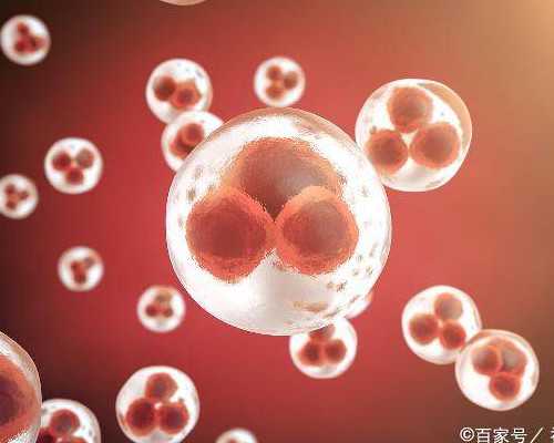 最好看的古玩电影_赵雁君：临摹还需转化