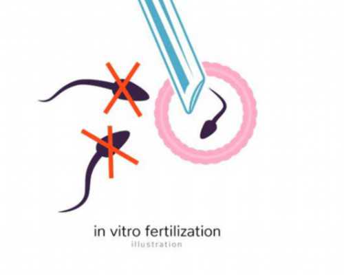 中国十大古玩排名_2022“中国意大利文化和旅游年”:共叙历史之好 同存文明之