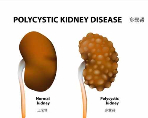 自己可以去香港医院验血测胎儿性别_有去过香港7周性别鉴定,性别鉴定需要什么