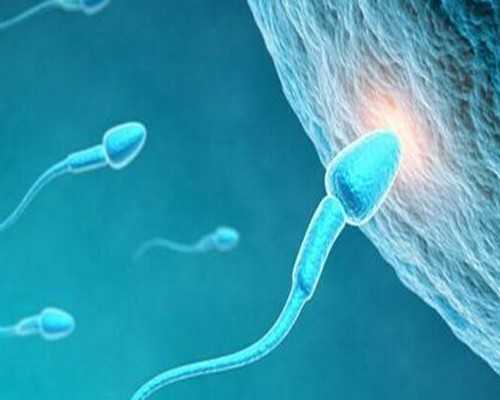 古玩钟值不值用消费者效用解释_甘肃和马来西亚书画艺术为“桥梁”拓多领域