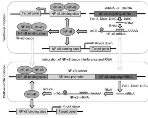 香港验血哪所机构最准_怀男孩很早就有感觉?欢迎加入