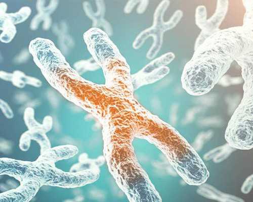 香港验血检测费用_香港验血真的能查出男女？告诉你以后还敢去香港验血吗?