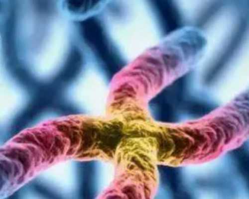 双胎香港验血准吗_香港佐嘉正规吗_最详细的介绍流程!