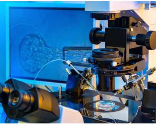 电影古玩_2020年度中国美术家协会选派中青年美术家赴海外公费研修通告