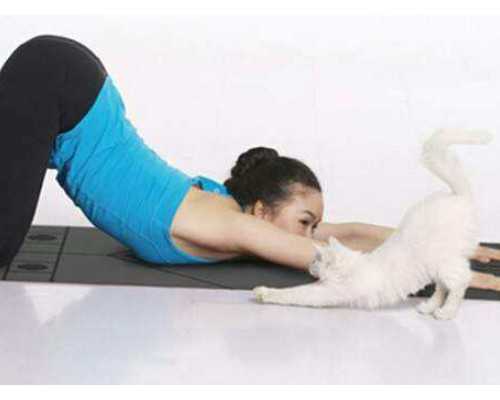 香港邮寄验血报告单出的是时代医疗_香港验血可以6周吗_会不会翻盘真的准确吗