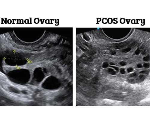 香港仁健医学验血中心电话_香港验血报告单怎么看准不准_验血查男女哪个机构