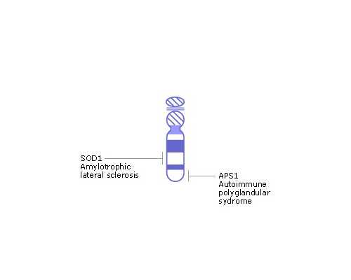 香港中大基因生物公司验血_香港诊所验血准吗?宝妈亲身经历告诉你真相
