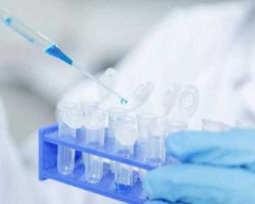 古玩瓷器入门_减肥小技巧：饭前饭后这样做，帮你消脂肪去油腻