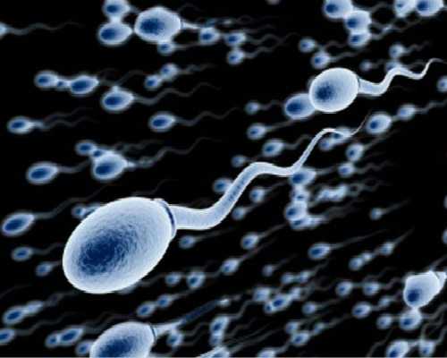 香港验血查男女多少钱 准确率多少_香港验血骗大陆人2021准不准_验血结果还有