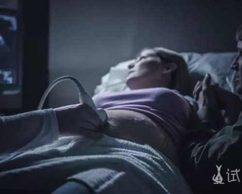 古玩的交易有什么东西_红烧蹄膀