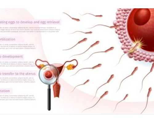 香港胎儿验血性别鉴定邮寄_作文月球之旅200字作文科幻小说月球之旅150字