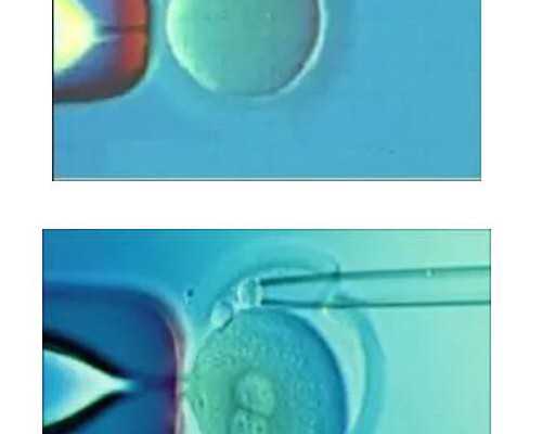 冯远征演收古玩的电视_文交所“电子盘”是救市的良药吗?