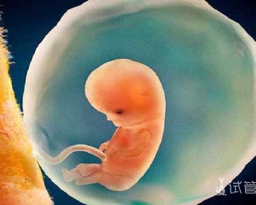 重生古玩人生全文免费阅读_全球首个正式裸体行为艺术节将于瑞士比尔举办