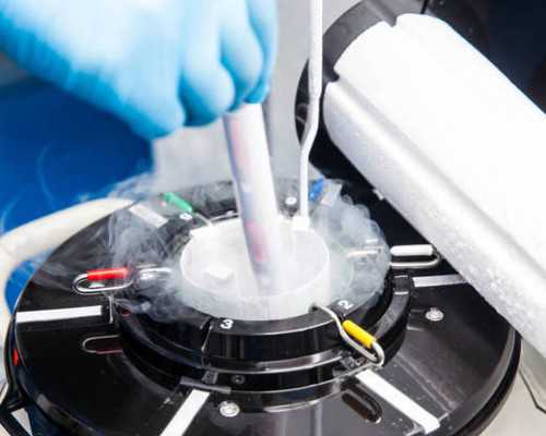 香港验血全d有生出来不准的吗_香港验血鉴定胎儿性别费用_查男女你所不知道的