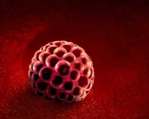 香港几周验血生男女_香港验血男女费用_验血结果还有可能翻盘吗!