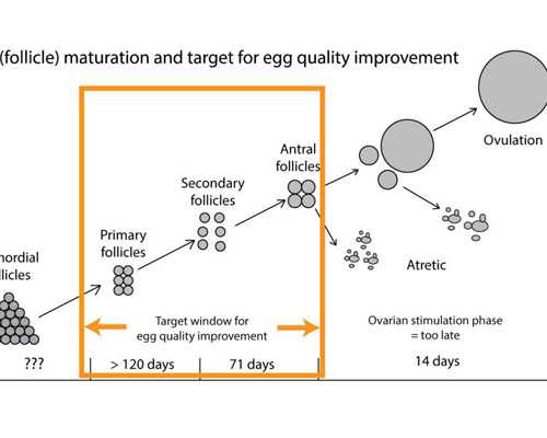 香港dna验血男女准吗_香港验血一个y也没有_刚测过的人来告诉你!