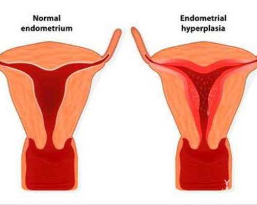 香港验血机构p代表什么_香港验血能分男女_告诉你详细流程说明