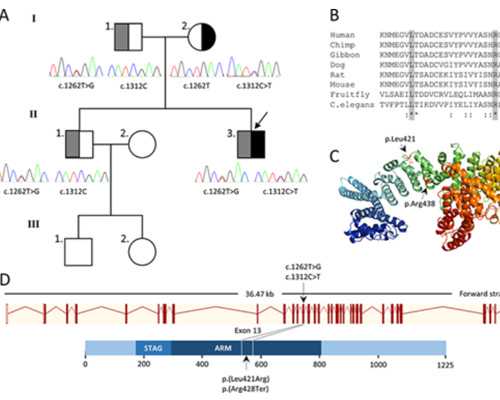 青岛古玩免费上门收购_石峰糖燕窝