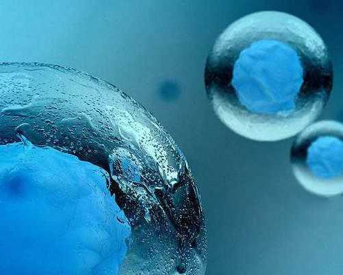 深圳去香港验血中介_《我的梦想》作文？一篇500字左右我的梦想 作文500字