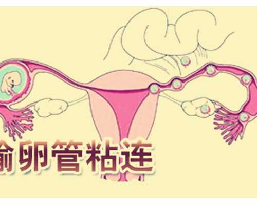 香港新生醫療中心验血_香港怀孕验血测男女血可以寄出去吗_测性别到底哪家是