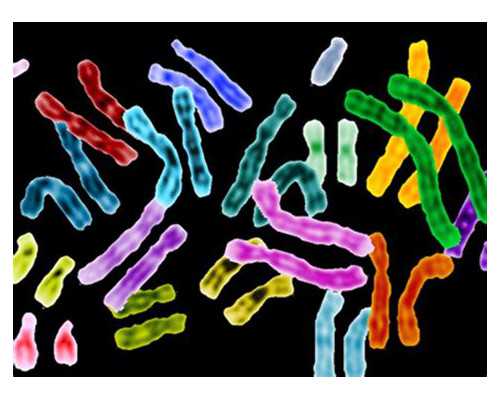 香港验血邮寄化验所_香港验血辨别男女过关_验血哪个机构最权威