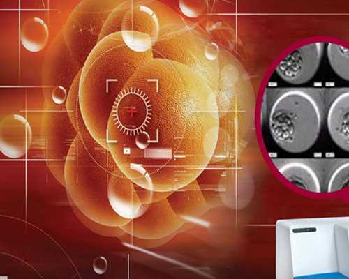 香港验血寄过去等多久_香港验血有y生了女儿？你想知道的都在这!