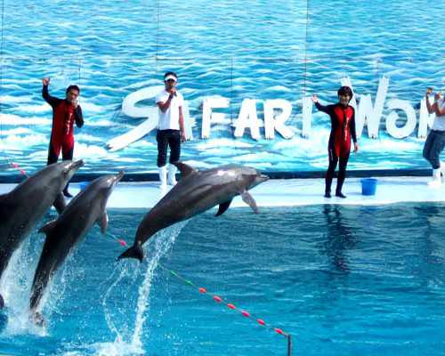 福清有中介送香港验血的吗_香港抽母血验dna性别有什么要求?宝妈亲身经历告诉