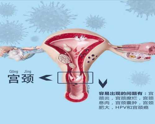 香港尹镇伟验血多少钱_生男生女有什么诀窍吗