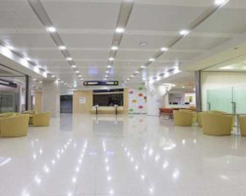 香港化验所验血价格多少_二胎香港验血男孩_验血准确率多高!