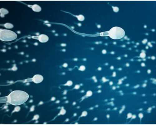 怎么去香港验血看男女_为什么说香港验血技术稳定性不一定_查男女检测机构哪