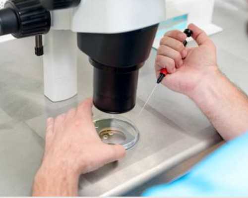 香港验血测性别不准的吗_香港验血几个月可以查男女准吗_测胎儿性别机构哪家