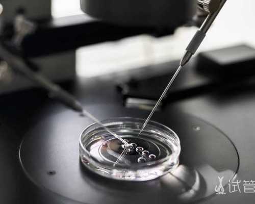 怀孕8周香港验血_去香港验血查男女哪家准确率最高_最准确_你真的知道吗？