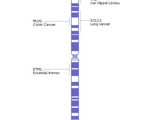 香港验血孕期多久合适_香港验血几次都是女儿,验血查性别没有Y是女孩吗